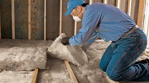 Best Eco-Friendly Insulation Solutions  in Dawsonville, GA